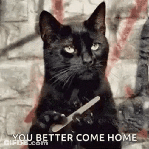 Cat Nail File Better Come Home GIF