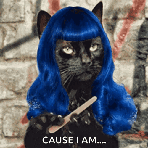Cat Nail File Blue Hair Meme GIF