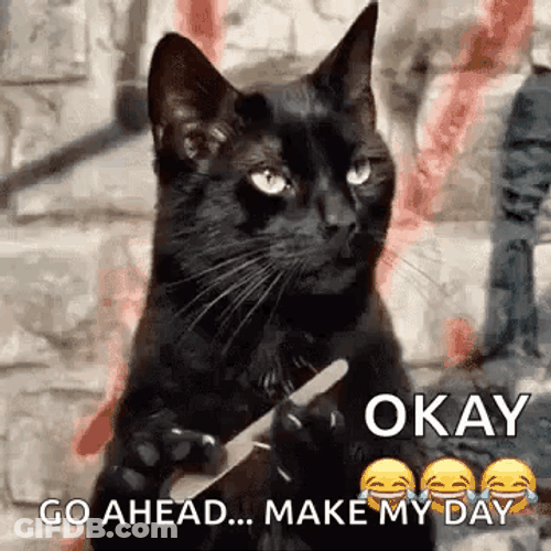 Cat Nail File Go Ahead Make My Day GIF