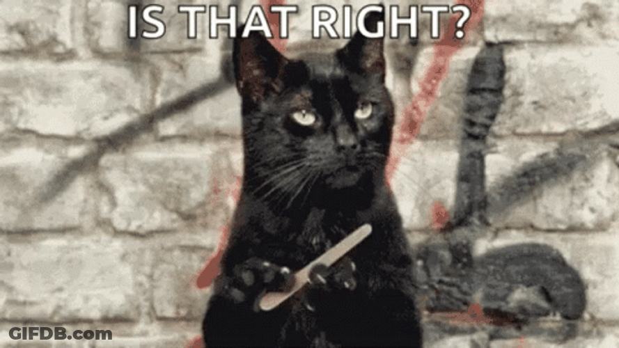 Cat Nail File Is That Right GIF