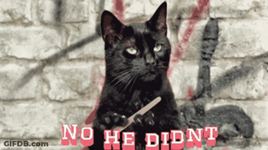 Cat Nail File No He Didn't GIF