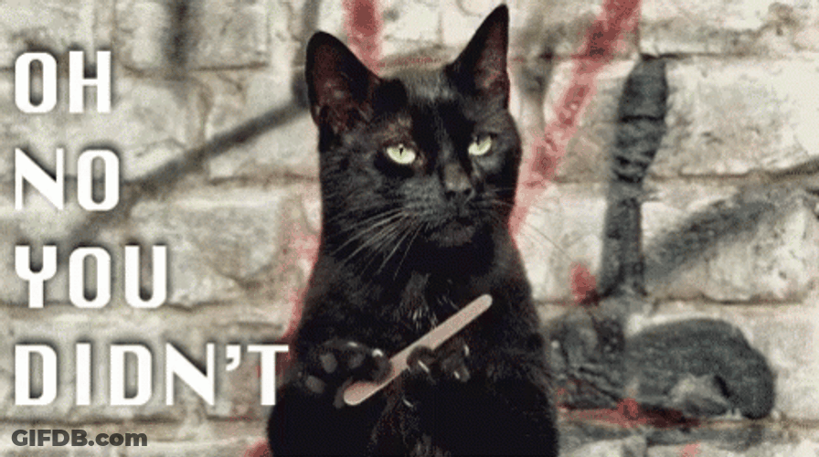 Cat Nail File Oh No You Didn't Meme GIF