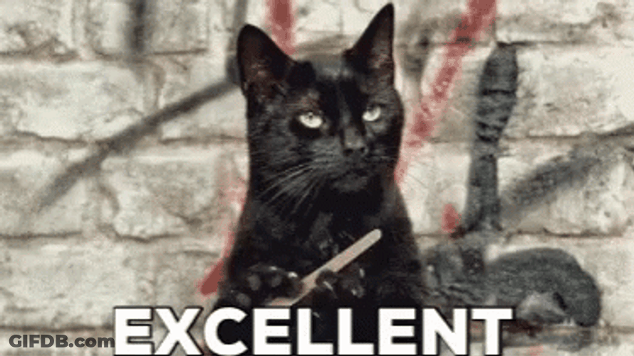 Cat Nail File Passive Reaction Excellent GIF