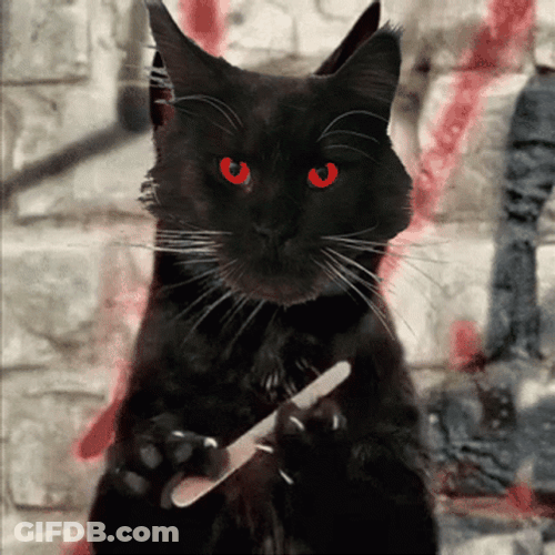 Cat Nail File Scary Red Eyes GIF
