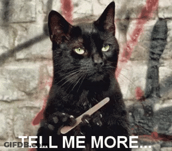 Cat Nail File Tell Me More Meme GIF