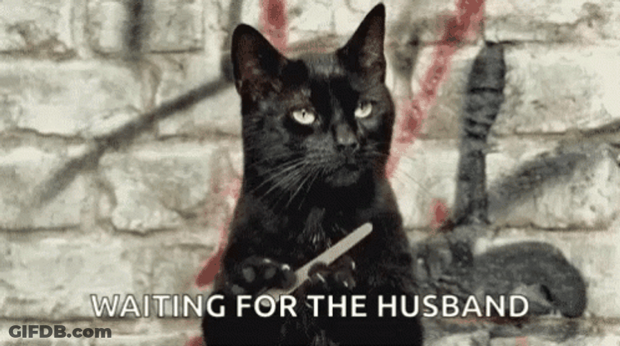 Cat Nail File Waiting For Husband GIF
