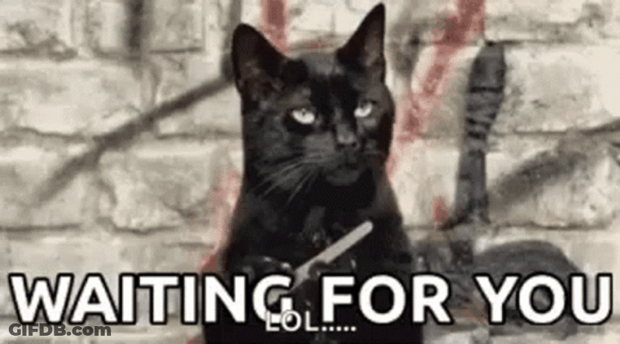 Cat Nail File Waiting For You GIF