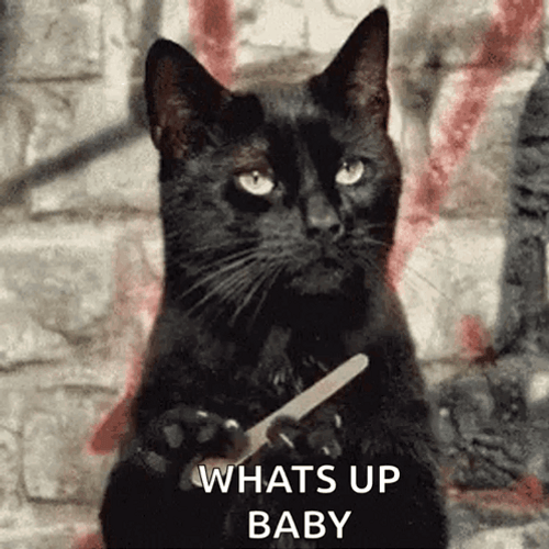Cat Nail File Whats Up Baby GIF