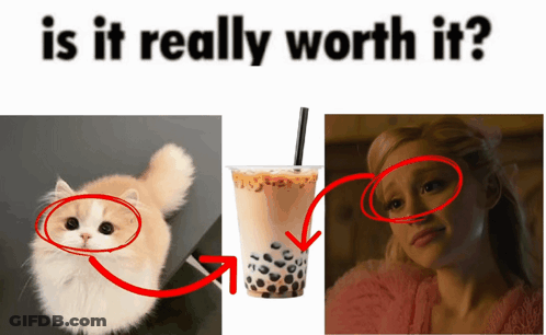 Cat Next To Bubble Tea GIF