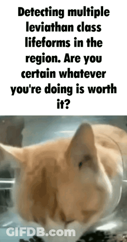 Cat Next To Detecting Leviathan Lifeforms GIF