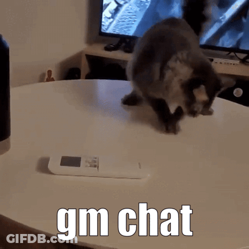 Cat Next To Remote Control Gm Chat GIF