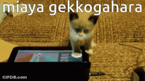 Cat Next To Tablet Saying Miaya Gekkogagara GIF