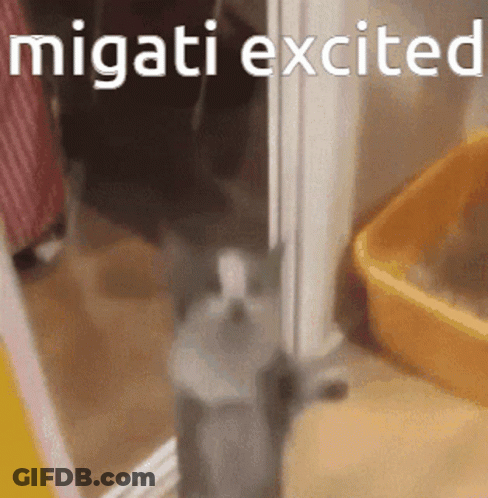 Cat Next To Yellow Litter Box And Migatti Excited Sign GIF