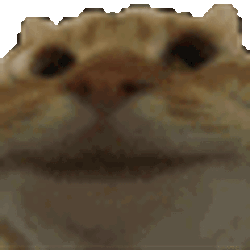 Cat Nodding Nodding Cat Sticker GIF