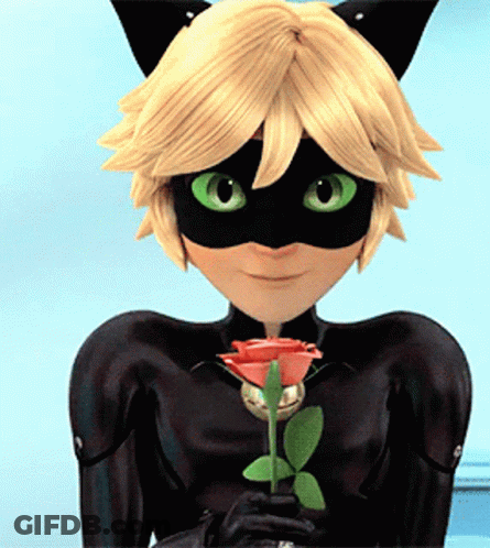 Cat Noir From Miraculous Ladybug Is Holding A Red Rose GIF