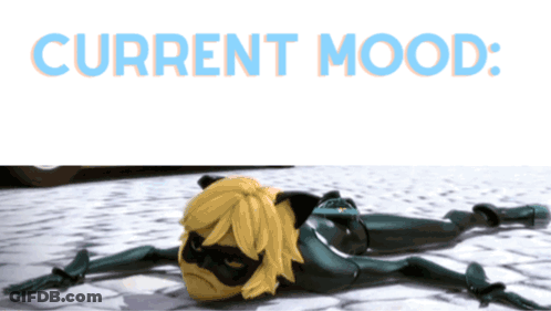 Cat Noir Laying On Ground Current Mood GIF