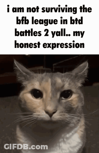 Cat Not Surviving BFF League BTD Battles 2 GIF