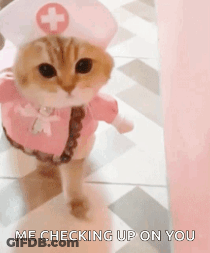 Cat Nurse Saying Me Checking Up On You GIF