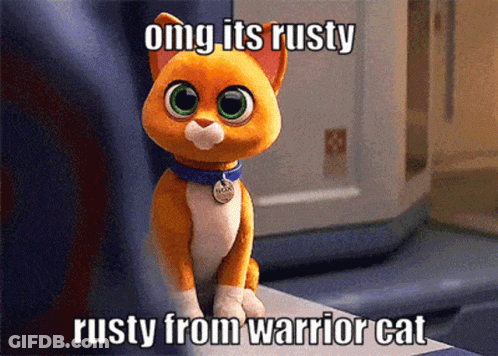 Cat Omg Its Rusty Rusty From Warrior Cat GIF