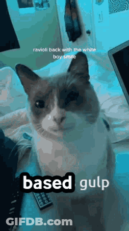 Cat On Bed With Laptop Remote Saying Based Gulp GIF
