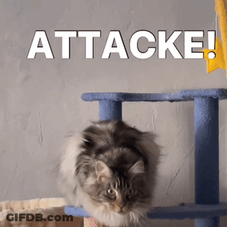 Cat On Blue Cat Tree Saying Attacke GIF