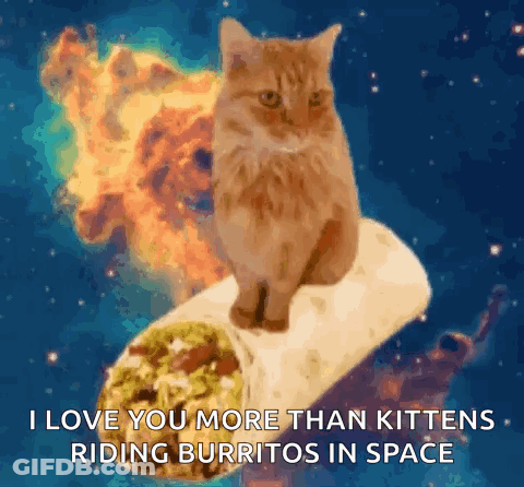 Cat On Burrito I Love You More Than Kittens Riding Burritos In Space GIF