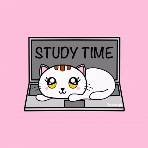 Cat On Computer Study Time Animation GIF