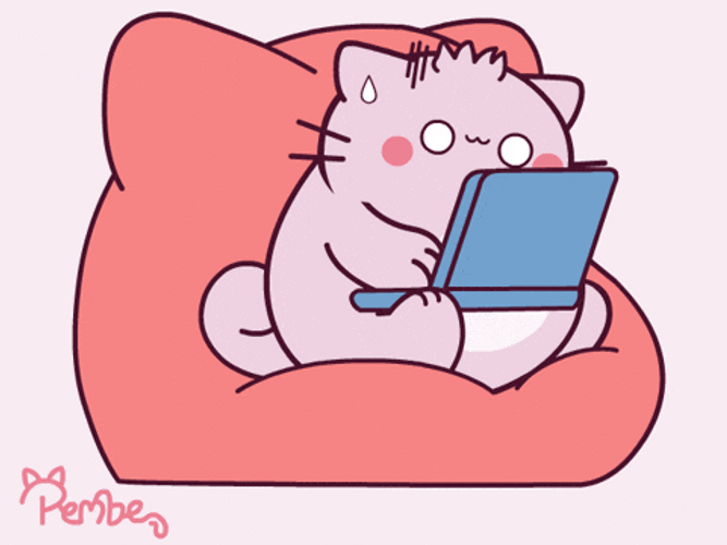 Cat On Computer Typing On Couch GIF