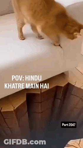Cat On Couch POV Hindu Khate Main Hai GIF