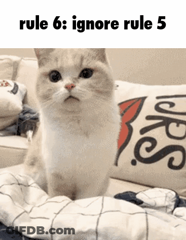 Cat On Couch Rule 6 Ignore Rule 5 GIF