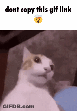 Cat On Couch Saying Dont Copy This Gif Link GIF