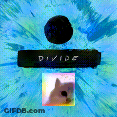 Cat On Divide Album Cover GIF