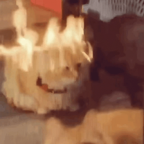 Cat On Flames Calm Sitting GIF