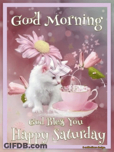 Cat On Good Morning Card GIF