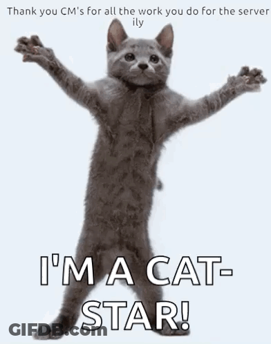 Cat On Hind Legs Arms Outstretched Saying I'm A Cat Star GIF