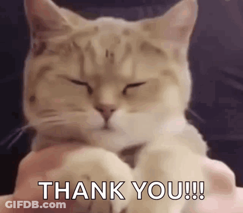 Cat On Lap Eyes Closed Thank You GIF