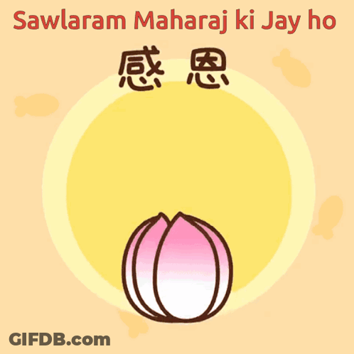 Cat On Lotus Flower Sawlaram Maharaj Ki Jay Ho GIF