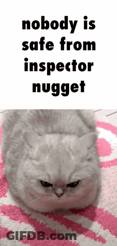 Cat On Pink And White Rug Says Nobody Is Safe From Inspector Nugget GIF