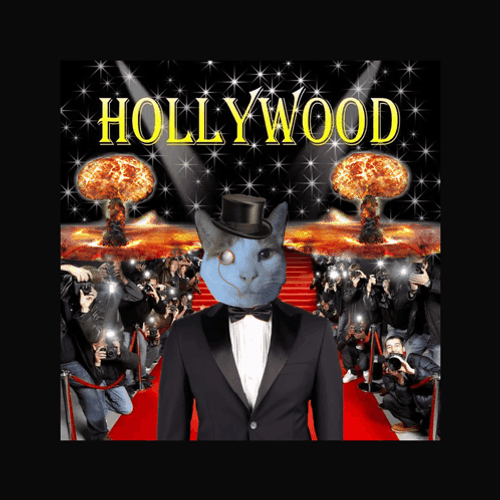 Cat On Red Carpet Hollywood GIF