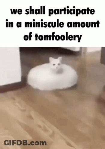 Cat On Robot Vacuum Cleaner GIF