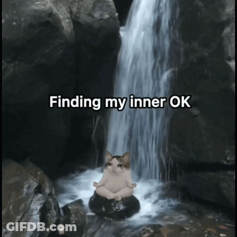 Cat On Rock Waterfall Finding My Inner Ok GIF