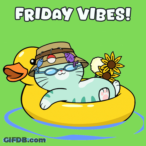 Cat On Rubber Duck Friday Vibes GIF