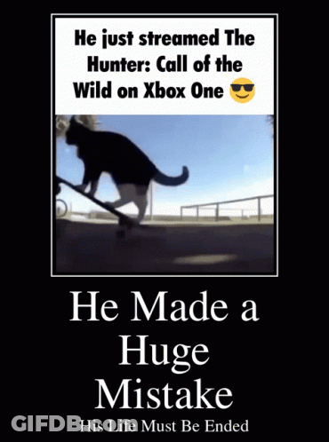 Cat On Skateboard He Made A Huge Mistake His Life Must Be Ended GIF