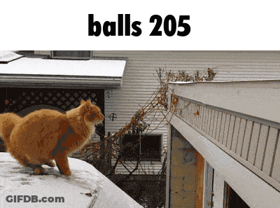 Cat On Snowy Roof With Balls 205 GIF