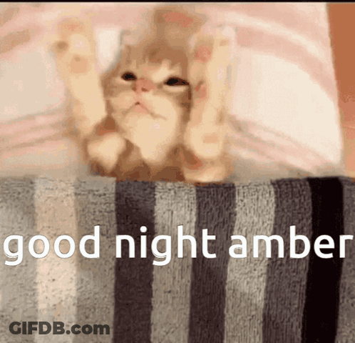 Cat On Striped Blanket Good Night Amber GIF