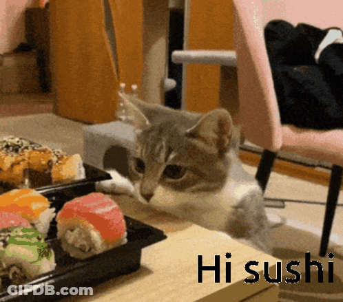 Cat On Table Next To Sushi Saying Hi Sushi GIF