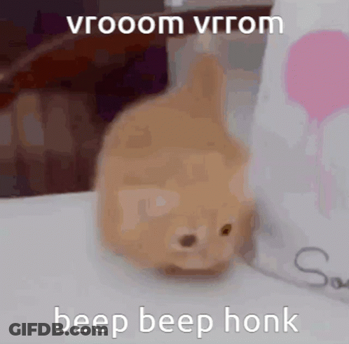 Cat On Table With Beep Beep Honk GIF