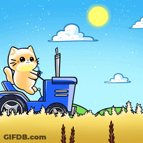 Cat On The Tractor GIF