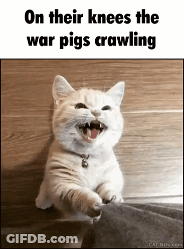 Cat On Their Knees The War Pigs Crawling GIF
