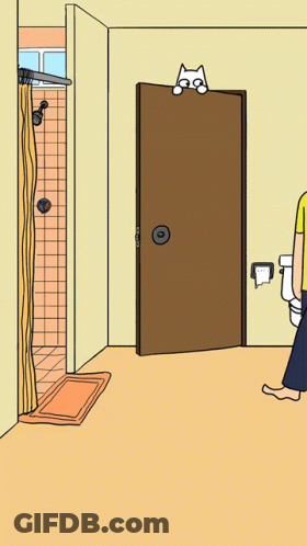 Cat On Top Of Bathroom Door GIF